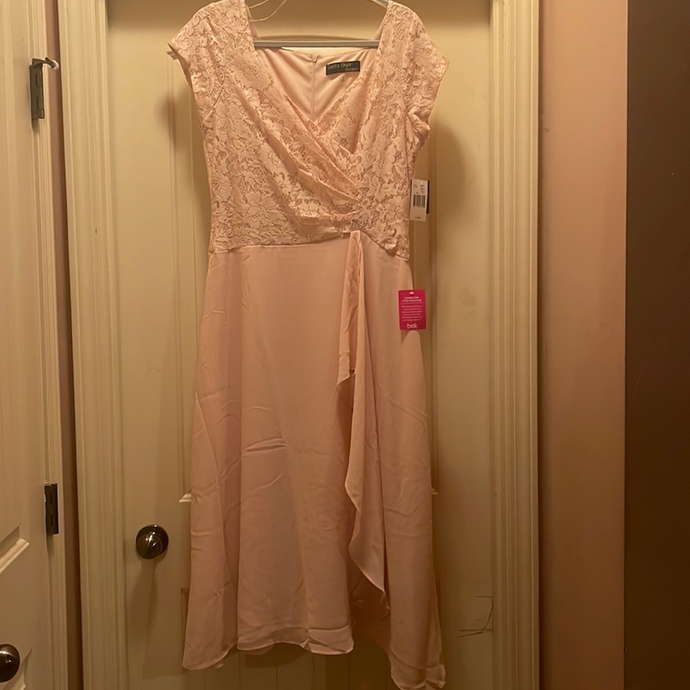 This lace bodice blush Gabby Skye dress is elegant.